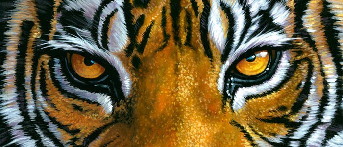 elbadrunos's profile banner image