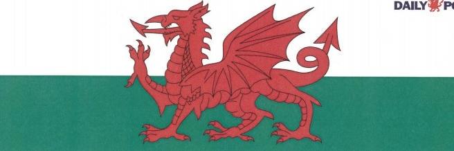 Dylan Daily Post banner