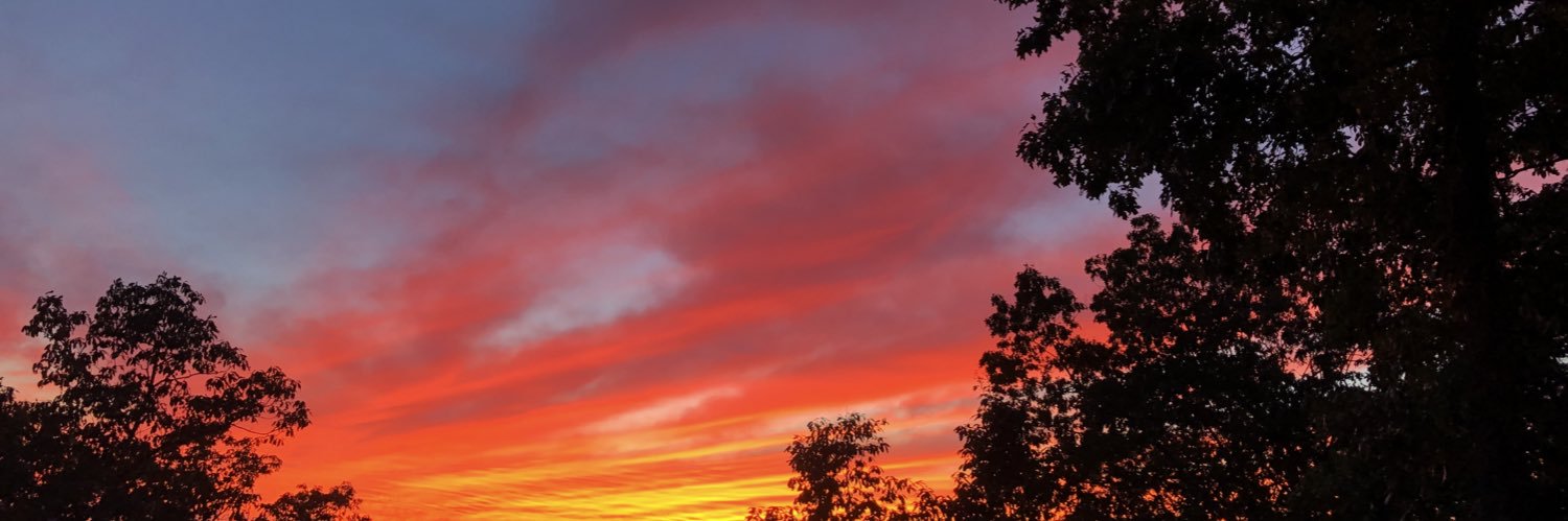 flsky1228's profile banner image