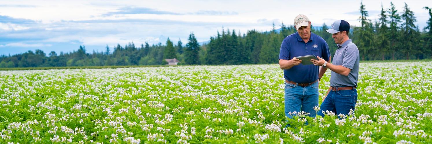 TopPotato Yara Canada banner