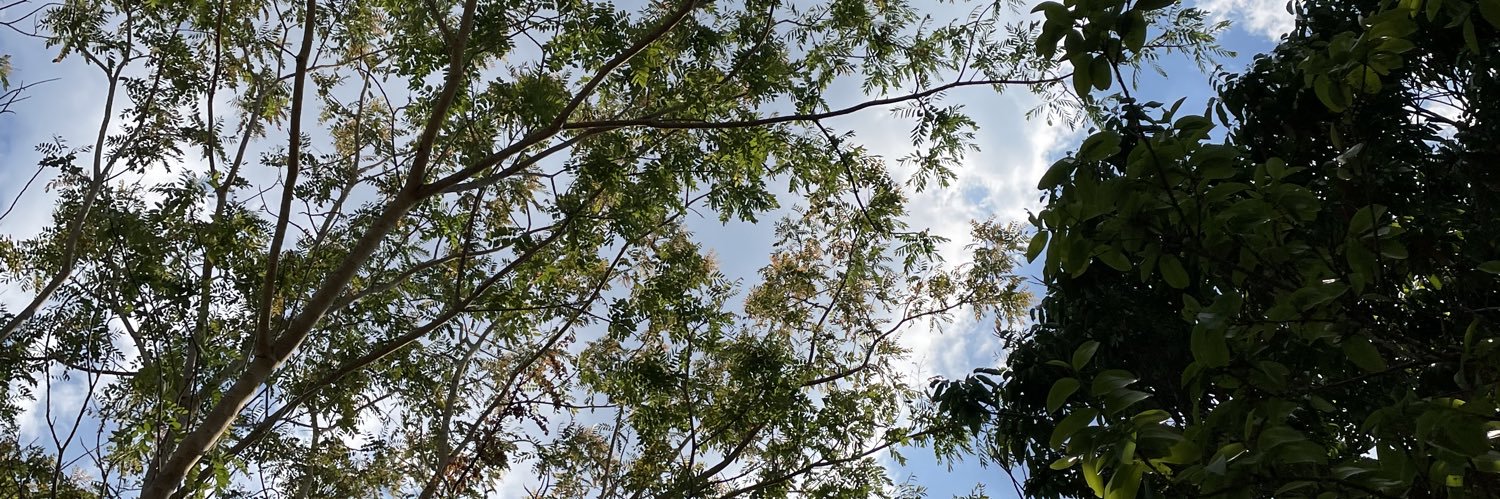 victinhaa's profile banner image