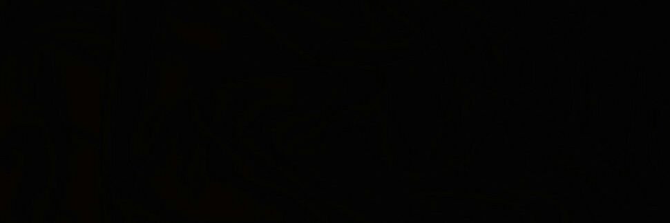 Stefan Barjaktarevic banner