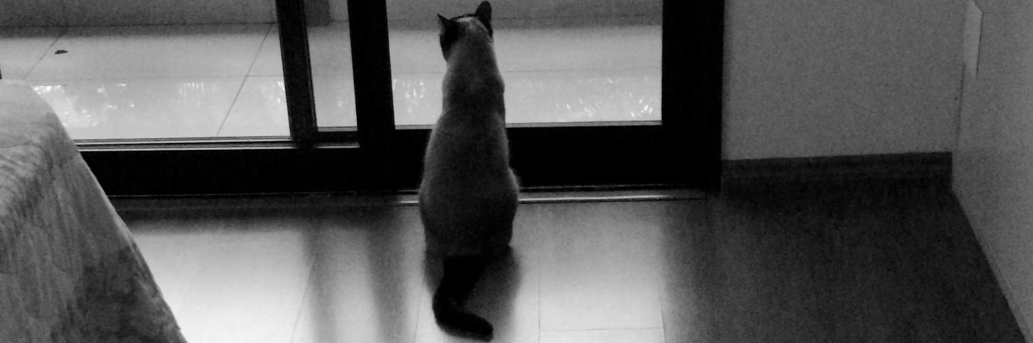 verônica, tia da helena banner