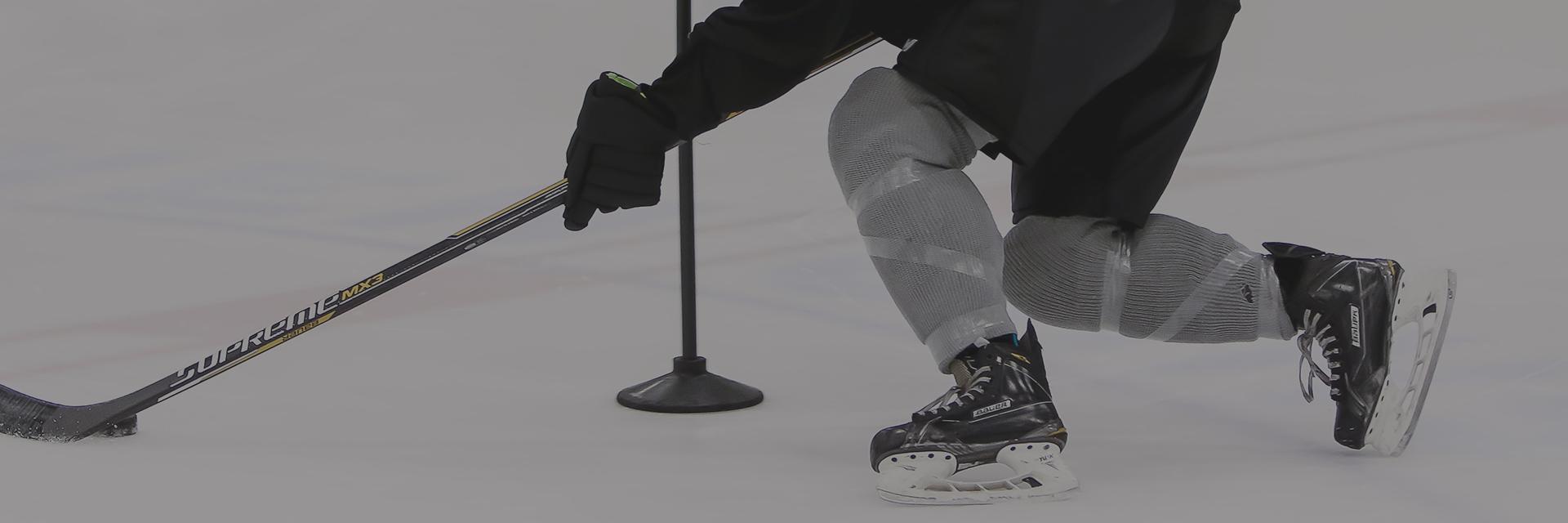 risehockeydev banner