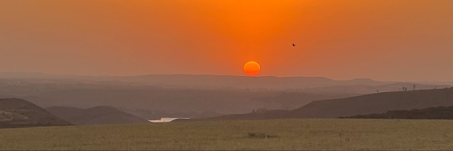 Ritadcostaa's profile banner image