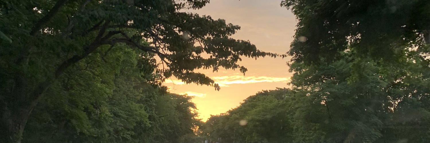Robyn 🤎🧸 banner