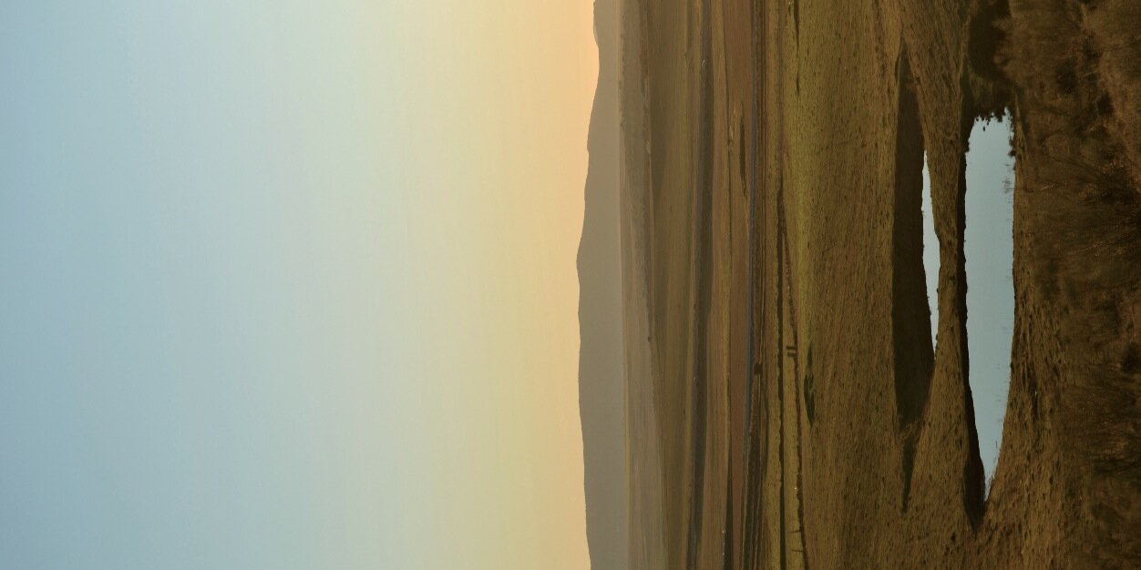 Viir_barroso's profile banner image