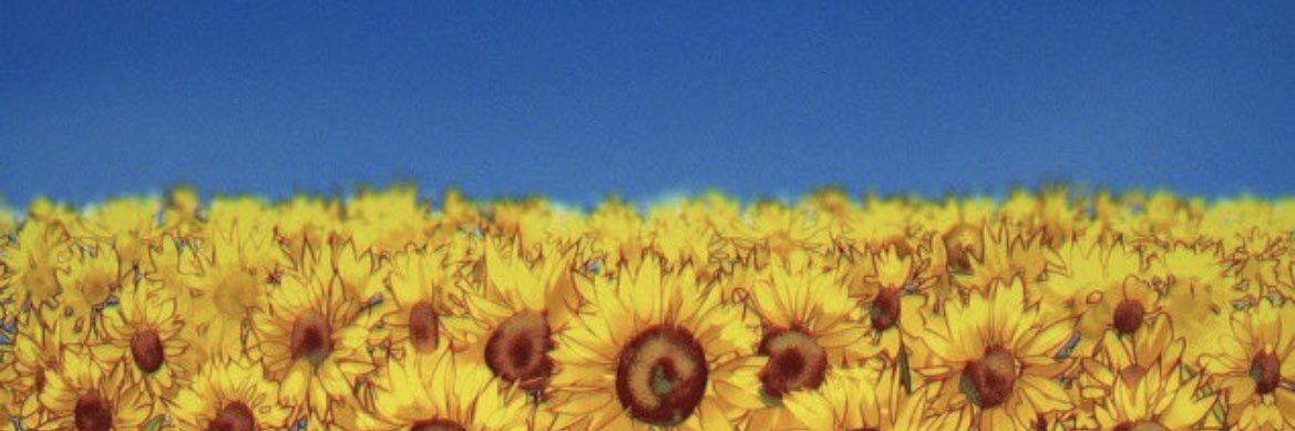 kripota's profile banner image