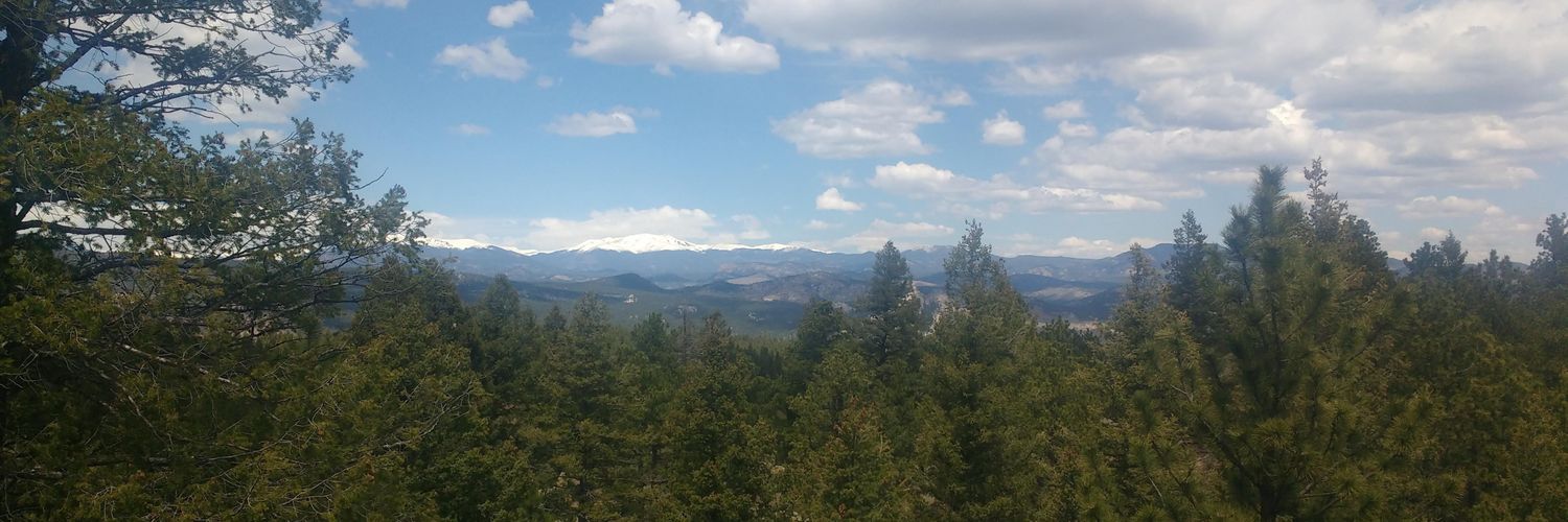 Patrick Monari, PhD banner