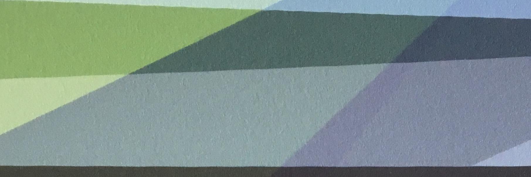 Anouk Emanuel banner