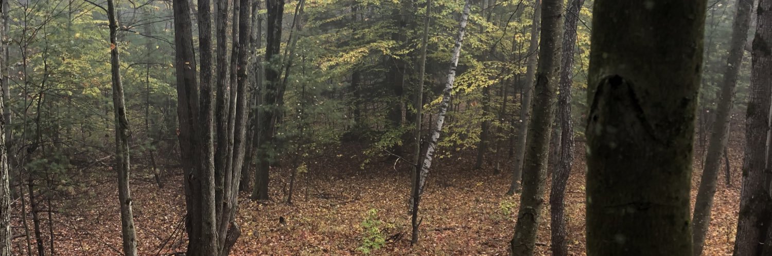 Nate Fox banner
