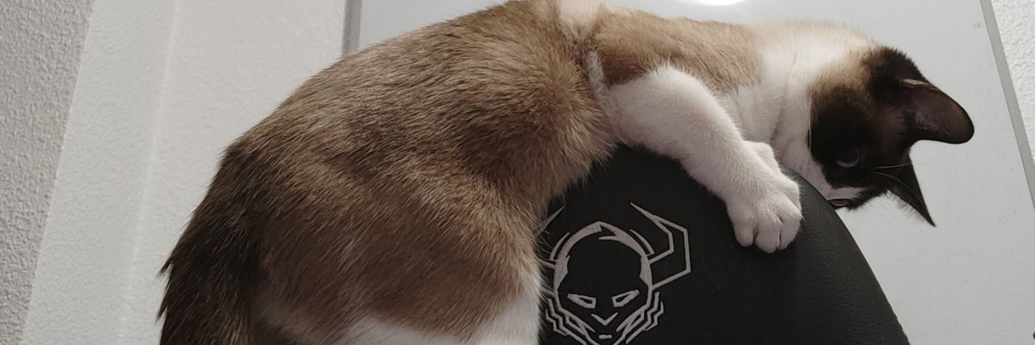 caunidom_'s profile banner image