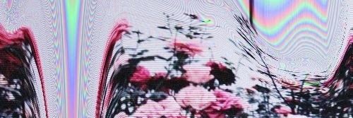 xqme banner