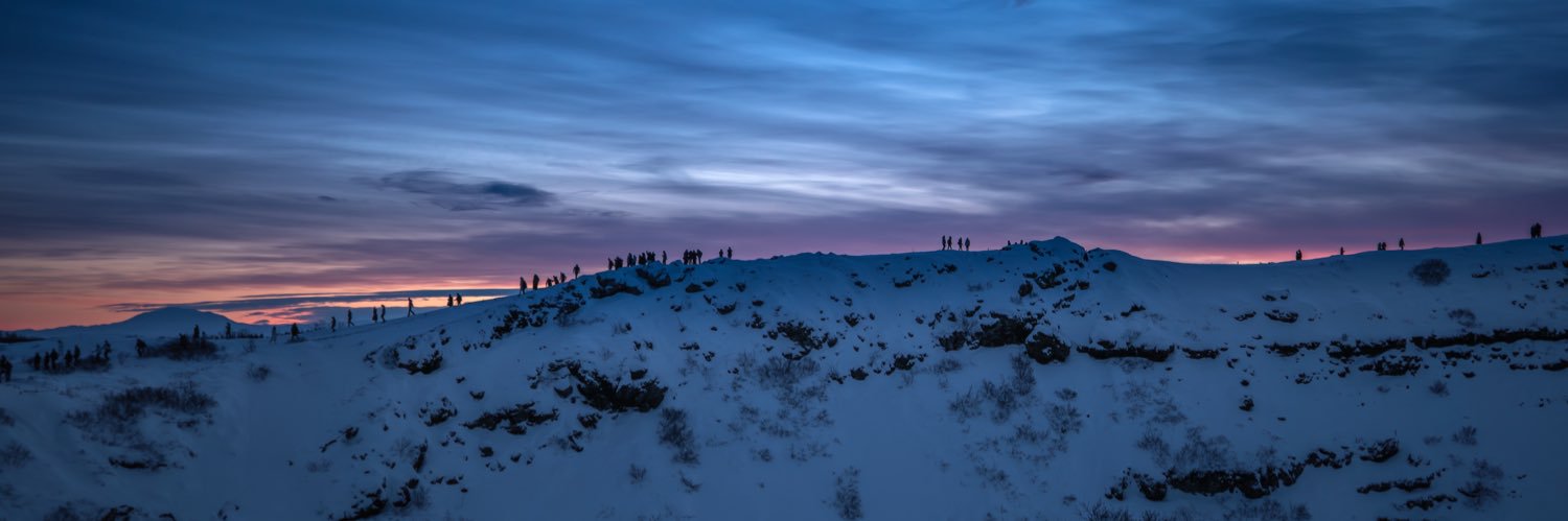 Ryan “Low Info-High Propensity Voter” banner