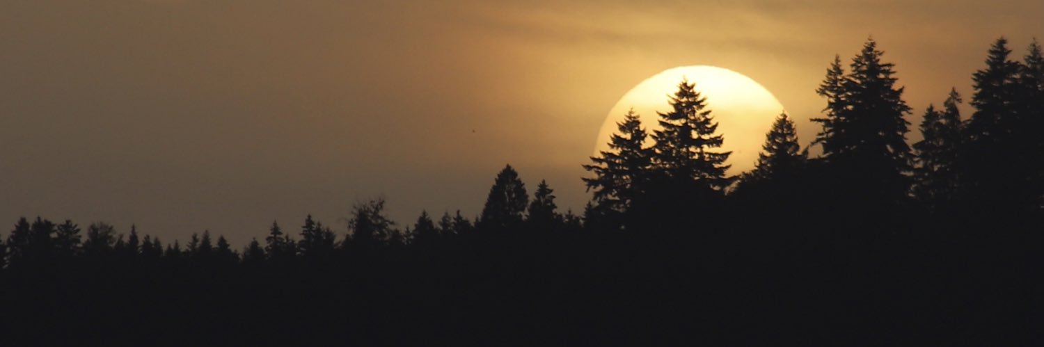 pleiadienne's profile banner image