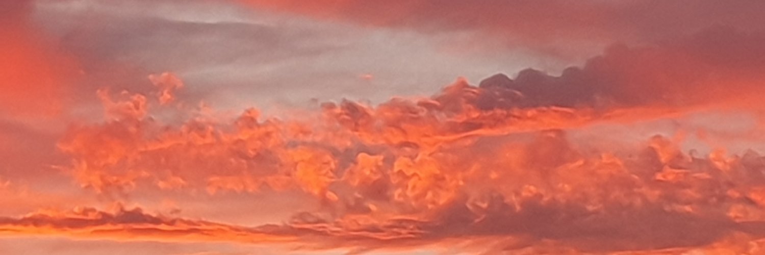 David A. Coall banner