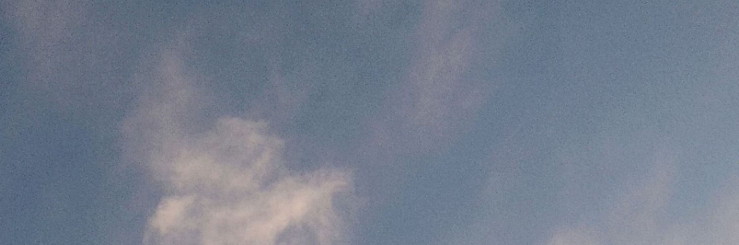 brokefal's profile banner image