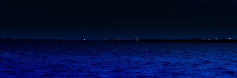 tanutwitts's profile banner image