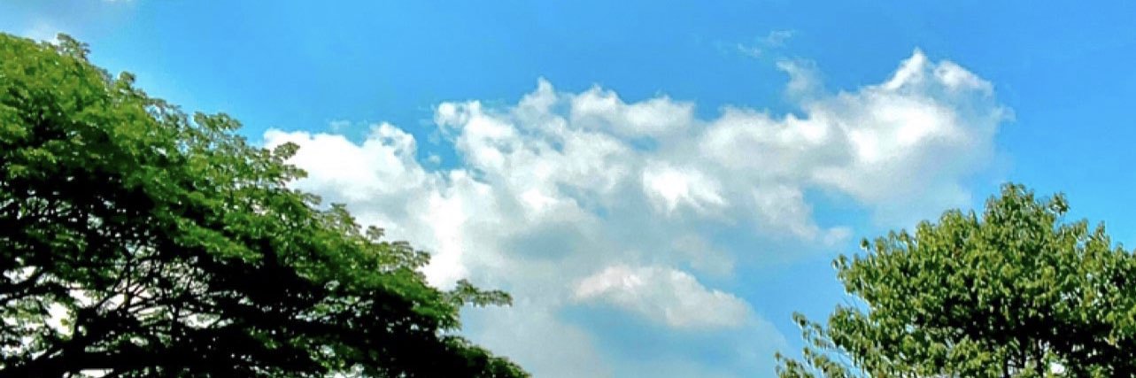 public_solution's profile banner image