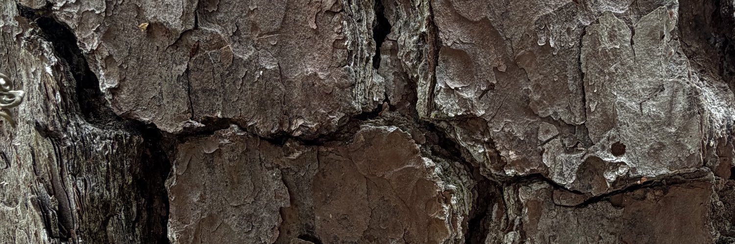 kiwimaddogs's profile banner image