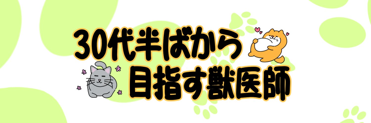 Rintaroooooou's profile banner image