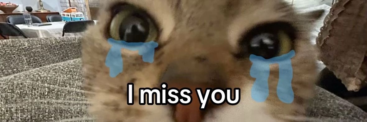 Volky 🐇🏳️‍⚧️ banner