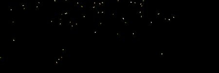 abi_fernandez__'s profile banner image
