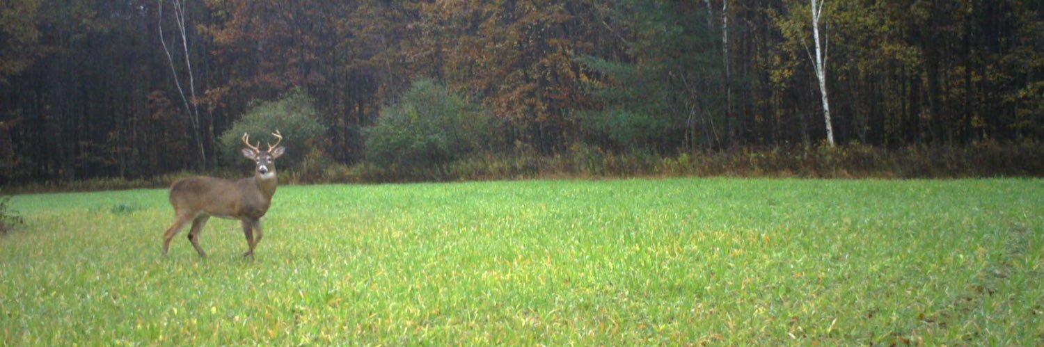 collin_siple's profile banner image