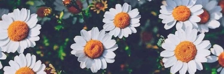 tucealpay's profile banner image