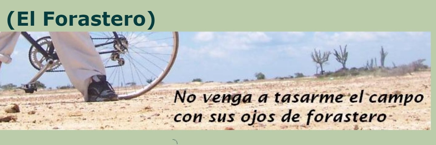 PauloForastero's profile banner image