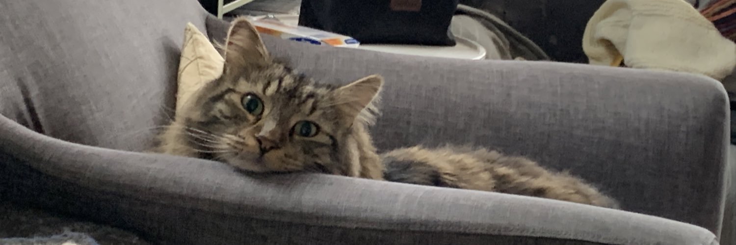 MaxyPi's profile banner image