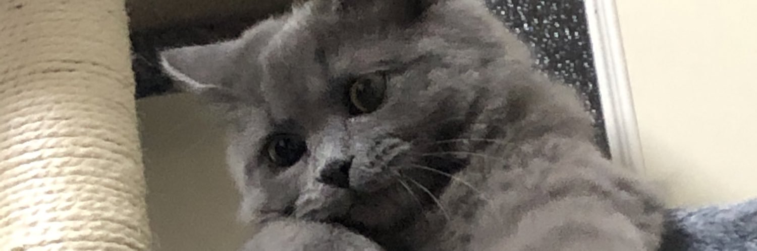 bio331's profile banner image