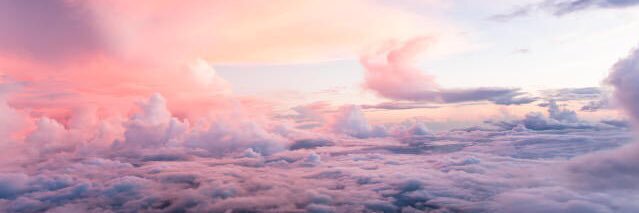 Hannah Forcier banner