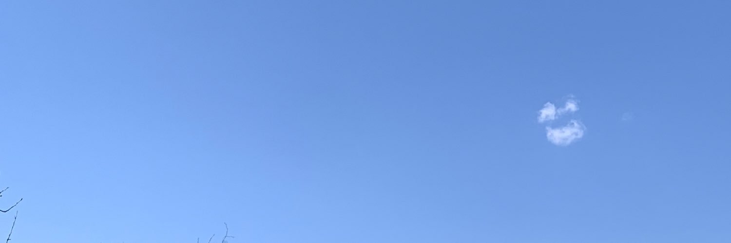 nocheesethx's profile banner image