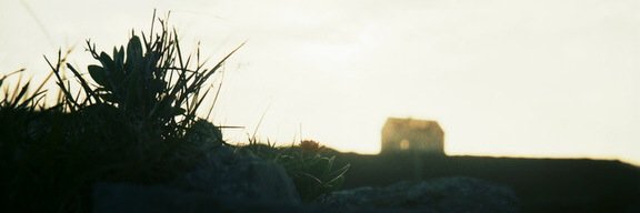 Zexistoly's profile banner image