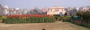 Shaheen's profile banner image