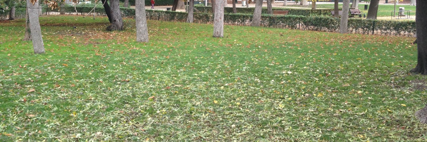 fotovieja's profile banner image