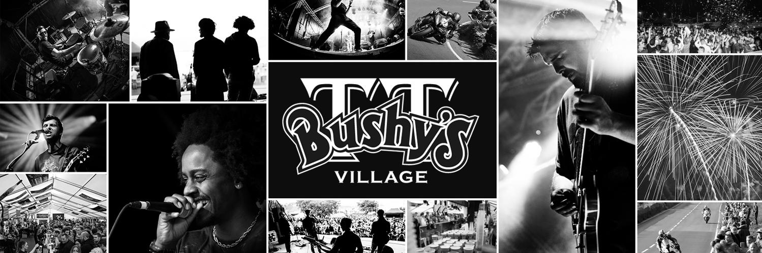 Bushy's TT Village banner