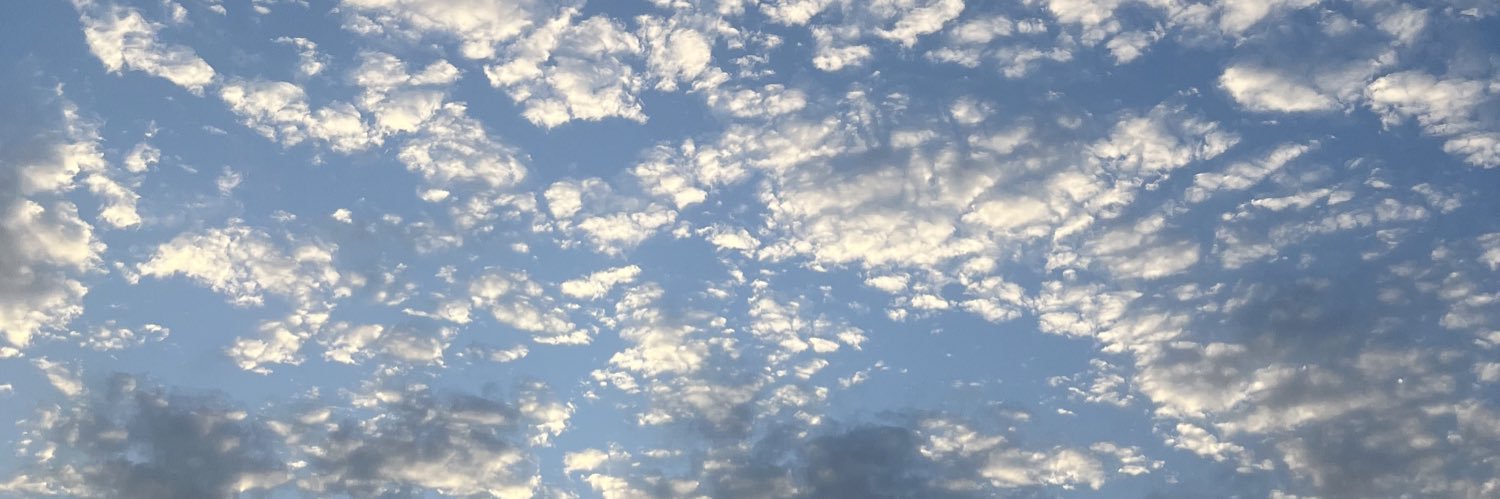 s banner