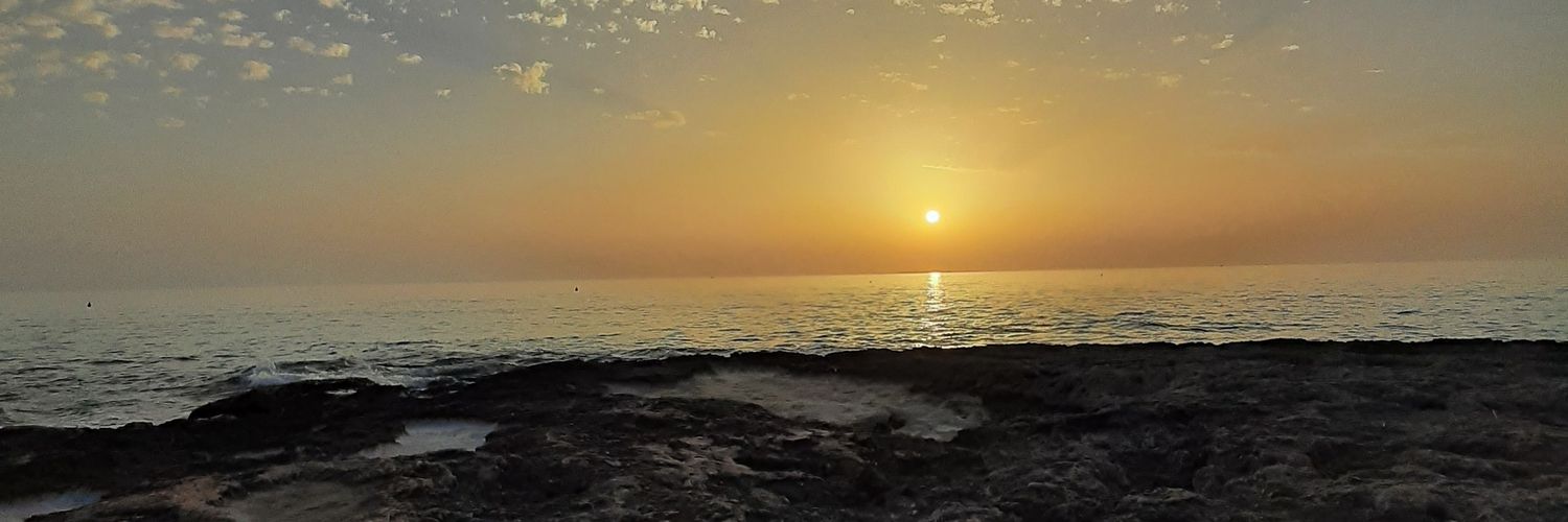 Domenico Lovece banner