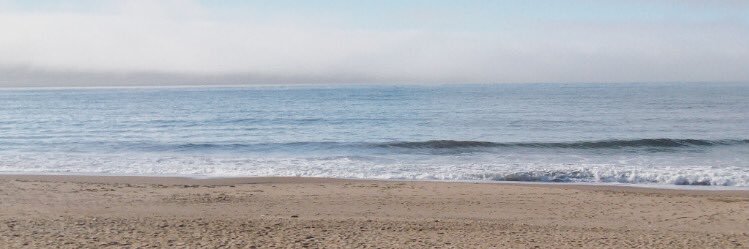 jose_vig's profile banner image