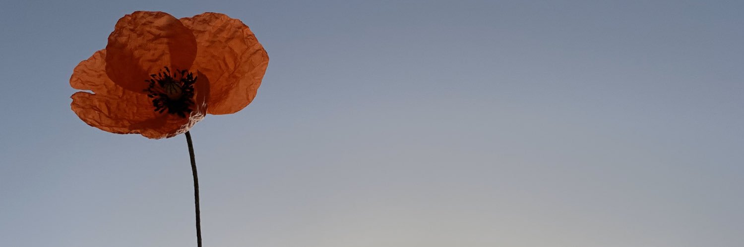 ElaTuzun's profile banner image