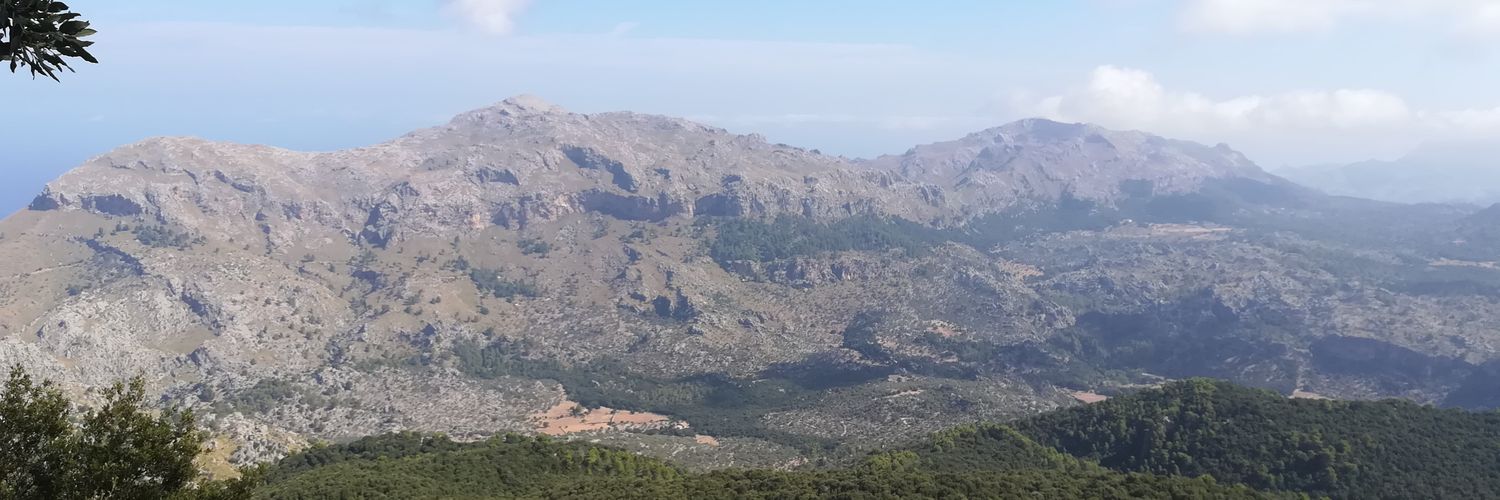 JaumeCompany's profile banner image