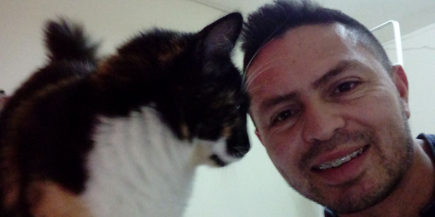 willi312011's profile banner image