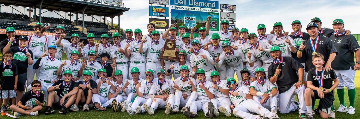 Carroll Dragon Baseball banner