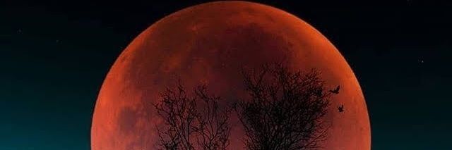 Beatymwangi1's profile banner image