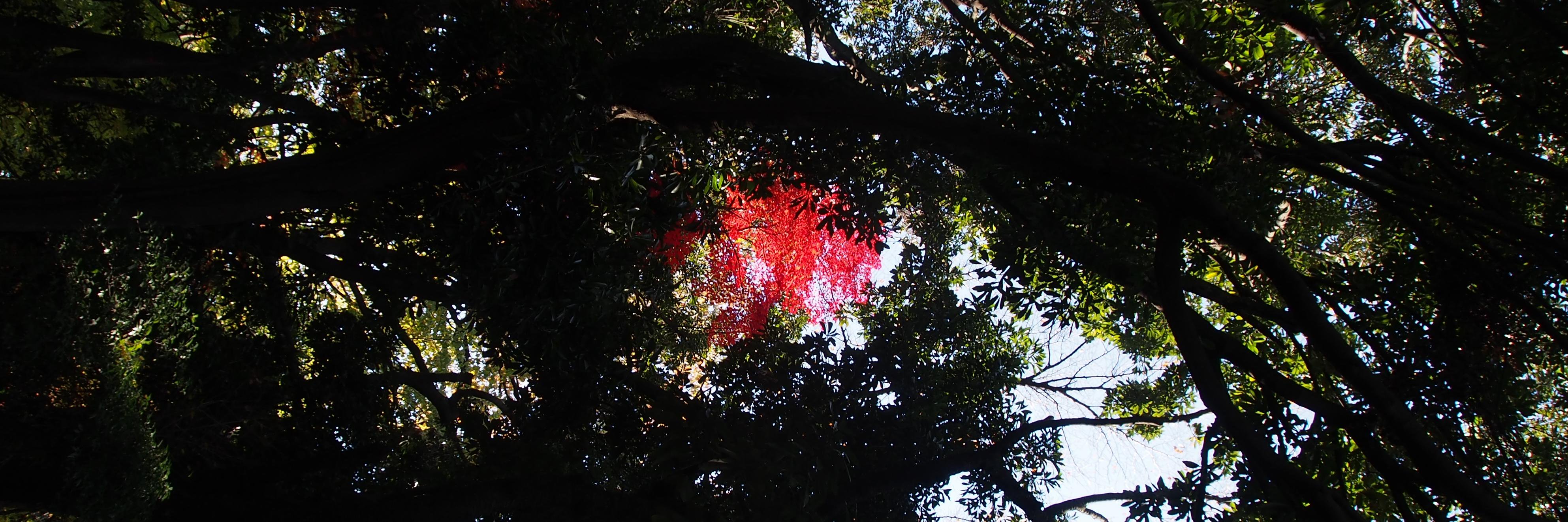 beforekon's profile banner image