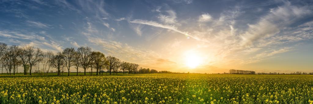 Extend the limit! banner