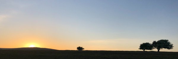 AnnaM1966 Profile Banner