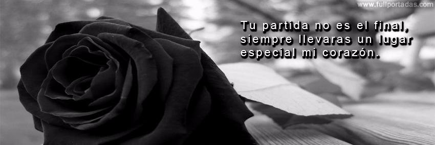 cecy305's profile banner image